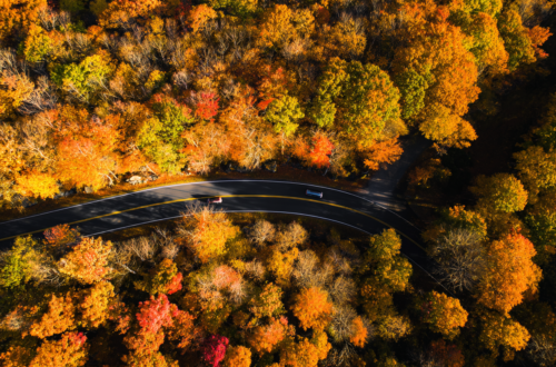 Overhead shot of road winding through fall foliage on the east coast